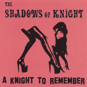 A Knight to Remember