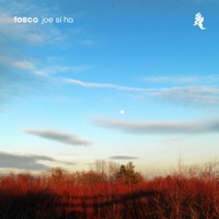 Joe Si Ha - Single - Tosca