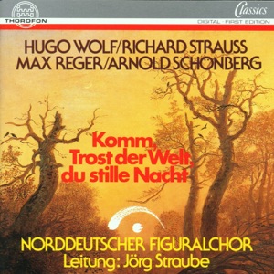 Komm, Trost Der Welt, Du Stille Nacht