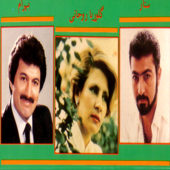 Cover art for Bazmeh Irani by Sattar & Gloria Rohani