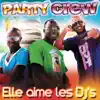 Party Crew - Elle aime les DJs (Radio Edit)