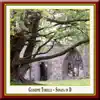 Wolfgang Bauer Consort, Giuseppe Torelli & Maulbronn Monastery Edition - Torelli: Sonata in D - (2) Allegro