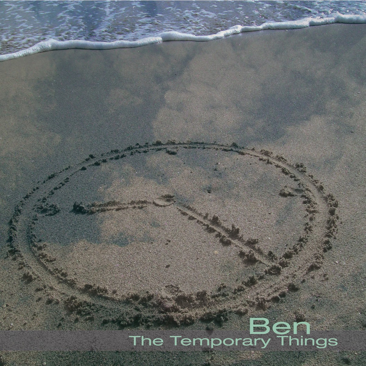 The Temporary Things