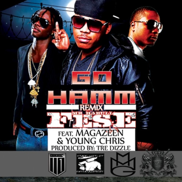 Go Hamm Remix (feat. Young Chris & Magazeen) cover art
