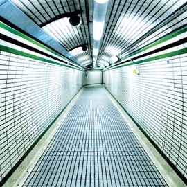 Le lièvre Iris & Arm