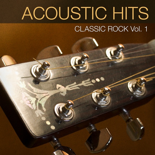Acoustic Hits - Classic Rock Vol. 1