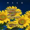 MSSO Munich Symphonic Sound Orchestra - Penny Lane