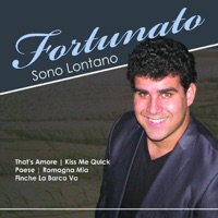 Fortunato - Non mi dire mai goodbye