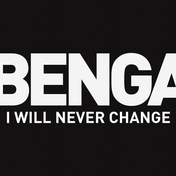 Обложка альбома «I Will Never Change - Single» — Benga
