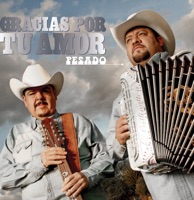 Gracias Por Tu Amor - Single - Pesado