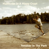 Hypocrite In A Hippy Crypt - The Town Crazies