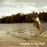 The Town Crazies — Hypocrite In A Hippy Crypt
