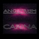 Carina Single