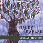 Randy Kaplan - Gotta Get Gone