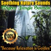 Jungle