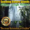 Soothing Nature Sounds - Jungle Sounds