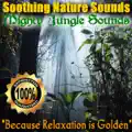 Jungle Sounds