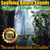 Soothing Nature Sounds - Jungle Sounds