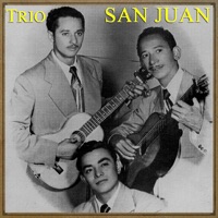 Mi Tesoro
