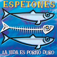 TODOS LOS TONTOS IREMOS AL CIELO