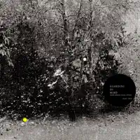 Othello — Giardini Di Mirò