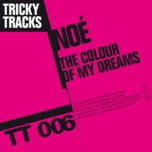 The Colour of My Dreams (Radio Mix) artwork