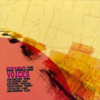 Voices - Matthias Bublath