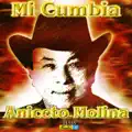 ANICETO MOLINA