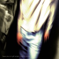 Eighty Mile Beach - There Are No Right Angles Found In Nature (Thievery Corporation Remix)