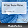 Johnny Come Home (Euro Radio Edit)