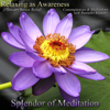 Relaxing As Awareness: Instant Stress Relief - Contemplations and Meditations With Bentinho Massaro - Splendor of Meditation new Single
