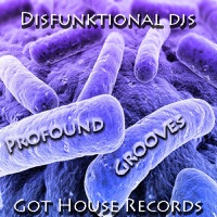 Profound Grooves - Single - Disfunktional DJs