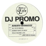 All I Do Is Wrong / DJ Promo