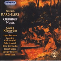 Chamber Music - Csaba Klenyán