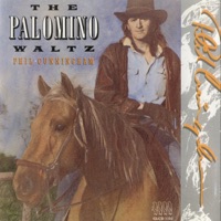 The Palomino Waltz by Phil Cunningham on Apple Music