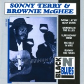 Sonny Terry & Brownie McGhee - Walk On