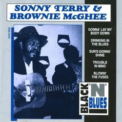 Sonny Terry & Brownie McGhee - Drinking In the Blues