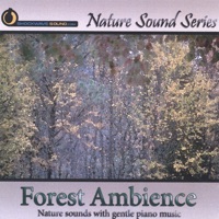 Forest Ambience (with Relaxing Music) - Nature Sound Series