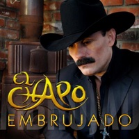 El Chapo De Sinaloa - Embrujado