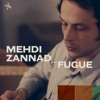 Mehdi Zannad