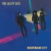 The Alley Cats - Nothing Means Nothing Anymore