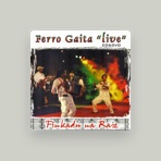 Ferro Gaita