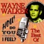 How Do You Think I Feel: The Best Of