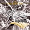 Scarborough Fair - Shane Maguire lyrics