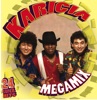 Megamix: Karicia, 2008