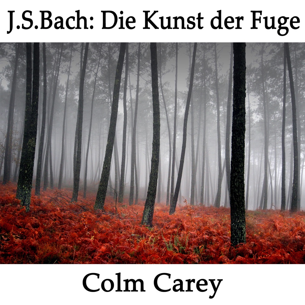 Обложка альбома «J.S. Bach: Die Kunst der Fuge» — Colm Carey