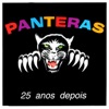 25 Anos Depois