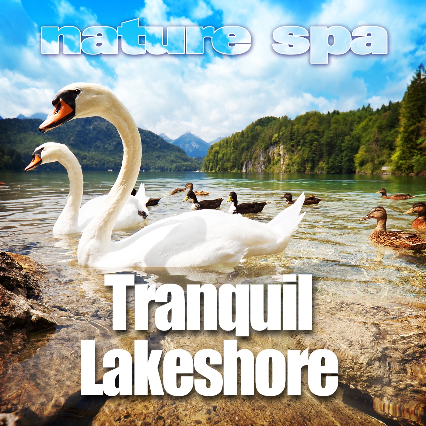 Tranquil Lakeshore - Single