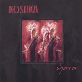 Fintan - Waltz Koshka