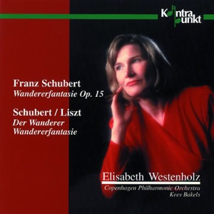 Schubert: Wandererfantasie, Der Wanderer
